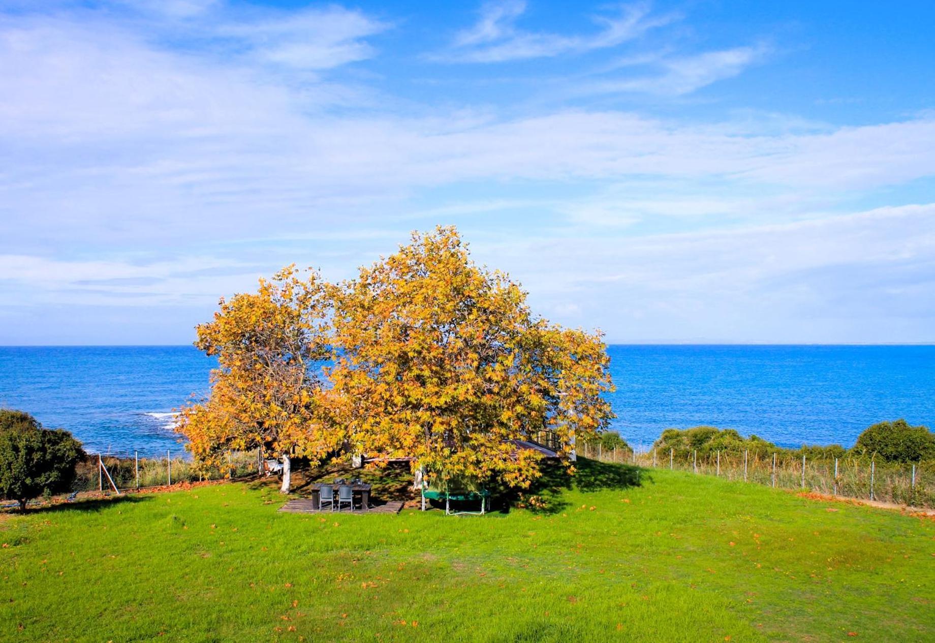 Apartament Sea Breeze Ena Korakokhórion Zewnętrze zdjęcie
